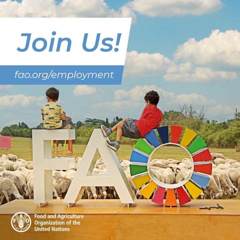 Legal Specialist at Food and Agriculture Organization of the United Nations (FAO)