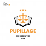 Pupillage Opportunities 2024